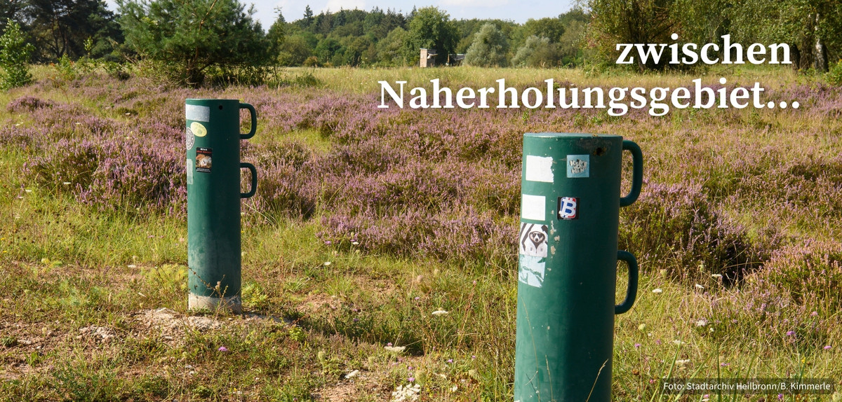 Header Startseite Waldheide - Grüne Landschaft der Heide mit Pollern - Text "zwischen Naherholungsgebiet"