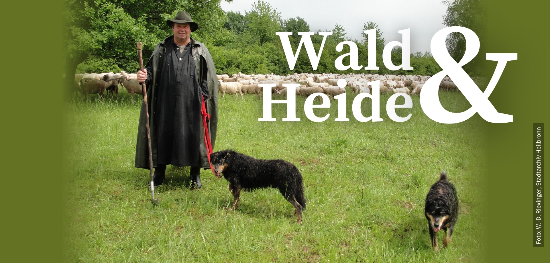 Header Startseite Waldheide - Schäfer mit Schafen und Hunden - Text: Wald und Heide