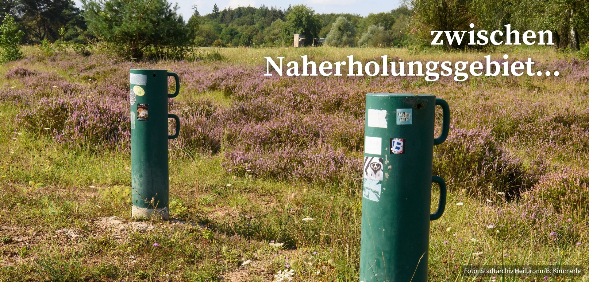 Header Startseite Waldheide - Grüne Landschaft der Heide mit Pollern  - Text "zwischen Naherholungsgebiet"